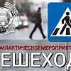 В Новой Москве пройдет профилактическое мероприятие «Пешеход»