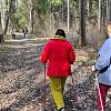 Занятие по скандинавской ходьбе для представителей старшего поколения провели в Роговском