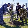 РОСГВАРДЕЙЦЫ ПРИНЯЛИ УЧАСТИЕ ВО ВСЕРОССИЙСКОЙ АКЦИИ «ЛЕС ПОБЕДЫ» В МОСКВЕ