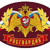 Более 2 тысяч правонарушителей задержали столичные росгвардейцы с начала года 