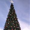 Новогоднюю елку установили в Роговском