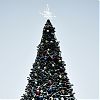 Новогоднюю елку установили в поселении Роговское