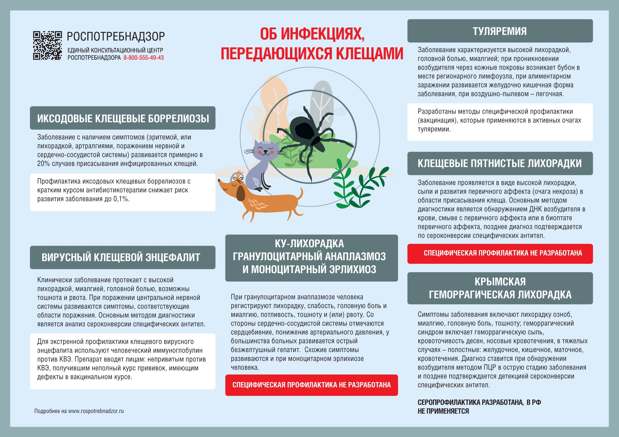 Памятка по профилактике инфекций, связанных с укусами клещей