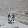 Ухудшение погодных условий спрогнозировали синоптики в Москве