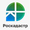 Порядка 84 млн выписок о недвижимости запросили москвичи в прошлом году
