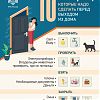 10 вещей, которые надо сделать перед выходом из дома