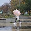 Сотрудники МЧС России предупредили жителей столицы о ветре и сильном дожде
