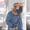Мокрый снег и сильный ветер спрогнозировали в Москве