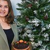 Игрушки, декор и тематические десерты: малый бизнес, получивший поддержку Москвы, подготовился к новогодним праздникам