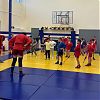 Тренировку по самбо провели для воспитанников СК «Монолит» в Роговском